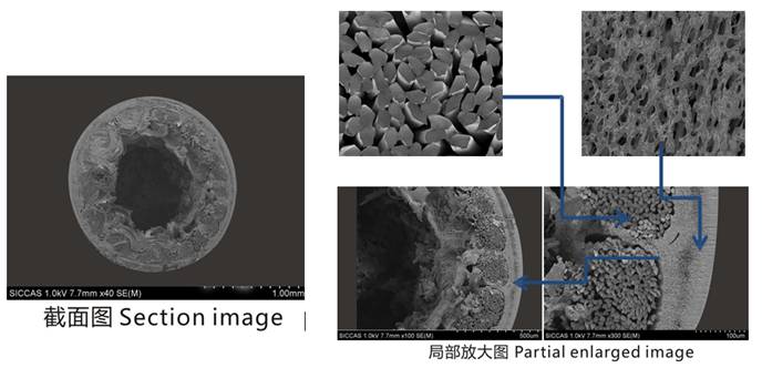 1649051208200179.jpg image001.jpg