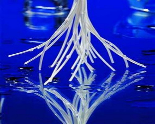 超濾膜絕對(duì)過(guò)濾精度多高？